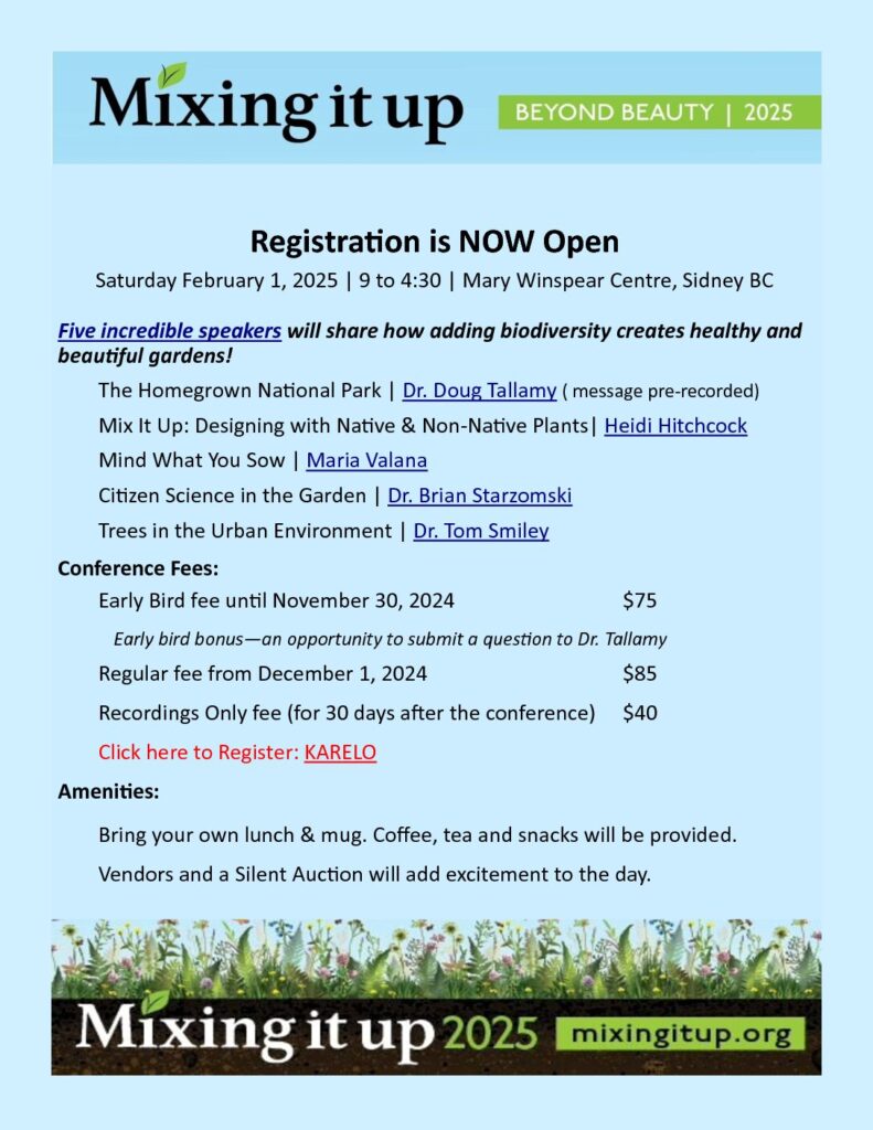 VMGA - Mixing it Up Conference 2025